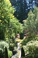 134 - Butchard Gardens  - IMG_1645